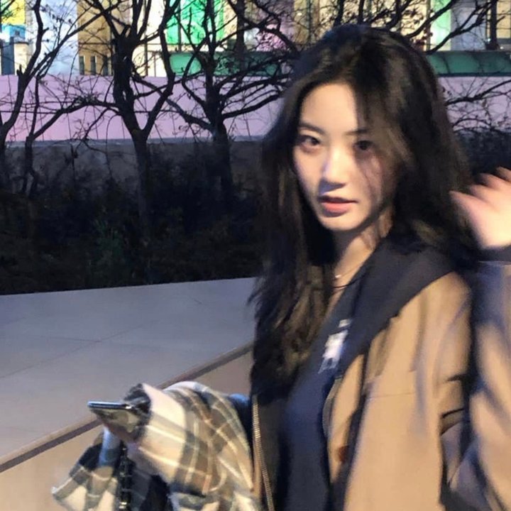 不死鸟之恋